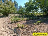 Yapıldak Köyünde Satılık 3510 m2 Cevizlik - Yol, Su, Elk Mevcut